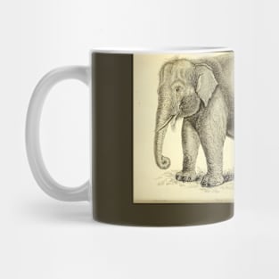 Elephant Mug